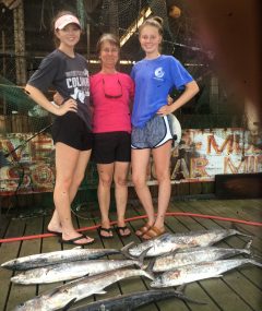 gulf coast fishing charters